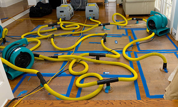Professional Water Damage Repair technician working in New Washington, OH