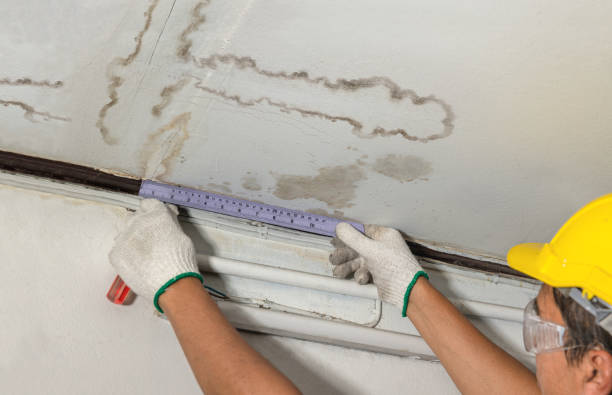 Affordable Water Damage Repair solutions in New Washington, OH